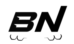 Bimmer Network